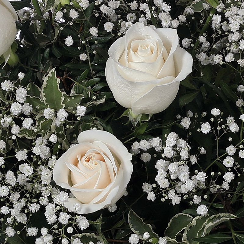 Centro de rosas blancas base |  Mémora