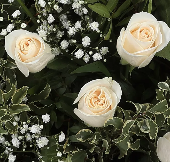 Centro de rosas blancas medium