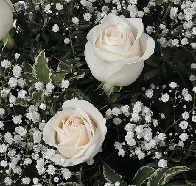 Centro de rosas blancas medium